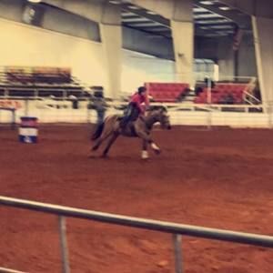 Meet your Posher, Presley